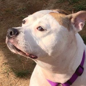 Meet your Posher, Scott